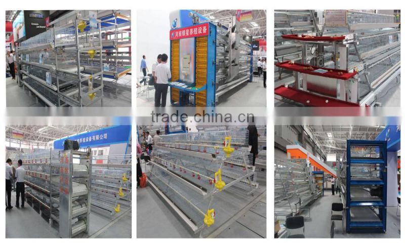 Automatic Poultry Layer Chicken Breeding Equipment for chiken feed line