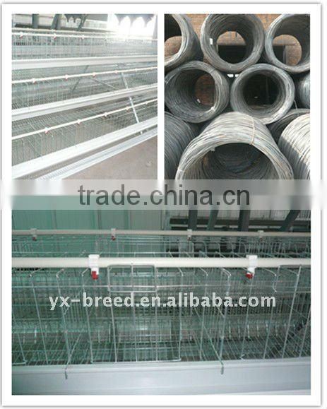 Factory price with Poultry Cage to African market