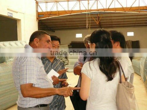 20000 Layer Farm Equipment large scale automatic project