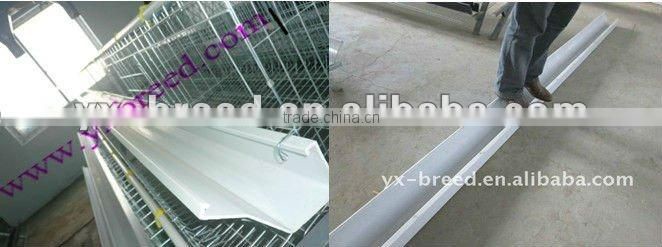 UAE drawing Chicken Coop design of 15,000 layers broilers