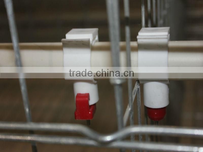 Highest quality lowest price Farm Poultry Cage for Zambia sale