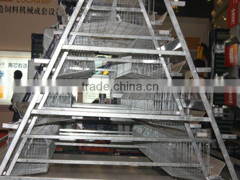 Highest quality lowest price Farm Poultry Cage for Zambia sale