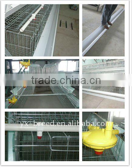 Large chinese manufacture Chicken Coop with galvaniizng surface