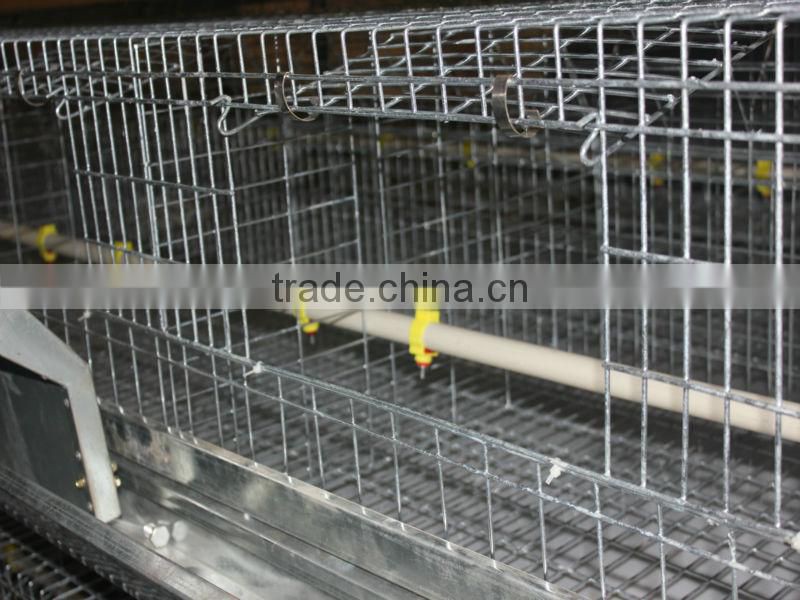 Highest quality lowest price Farm Poultry Cage for Zambia sale