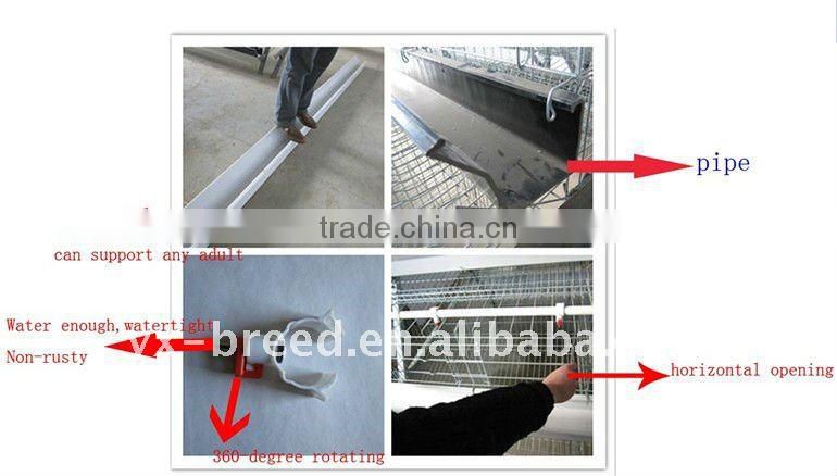 Automatic Poultry Layer Chicken Breeding Equipment for chiken feed line