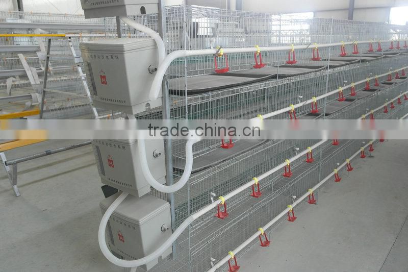 20000 Layer Farm Equipment large scale automatic project