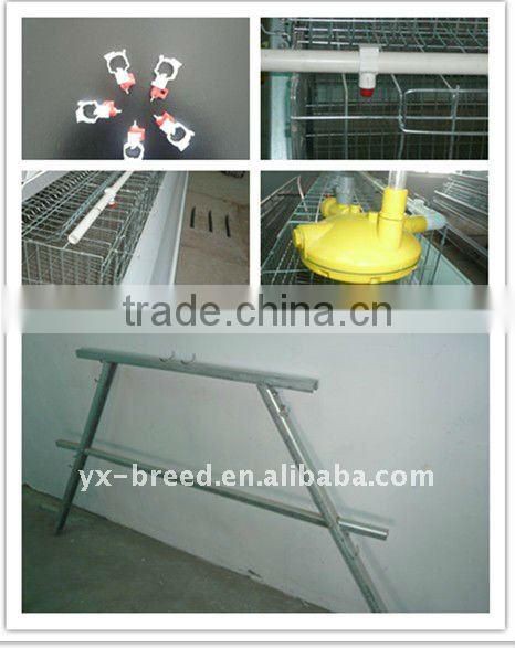 Factory price with Poultry Cage to African market