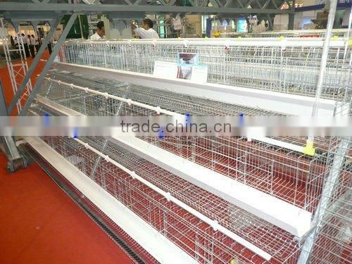 Automatic Poultry Equipment for 20000 birds farm sale