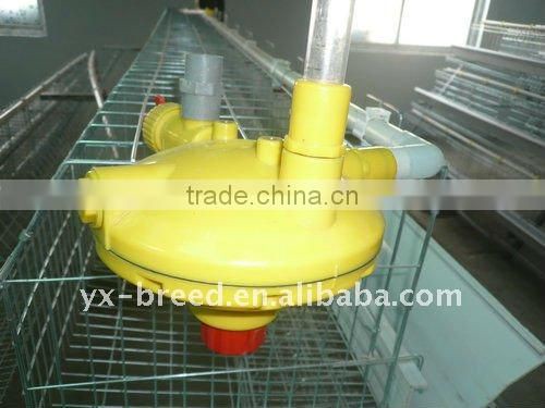 20000 Layer Farm Equipment large scale automatic project