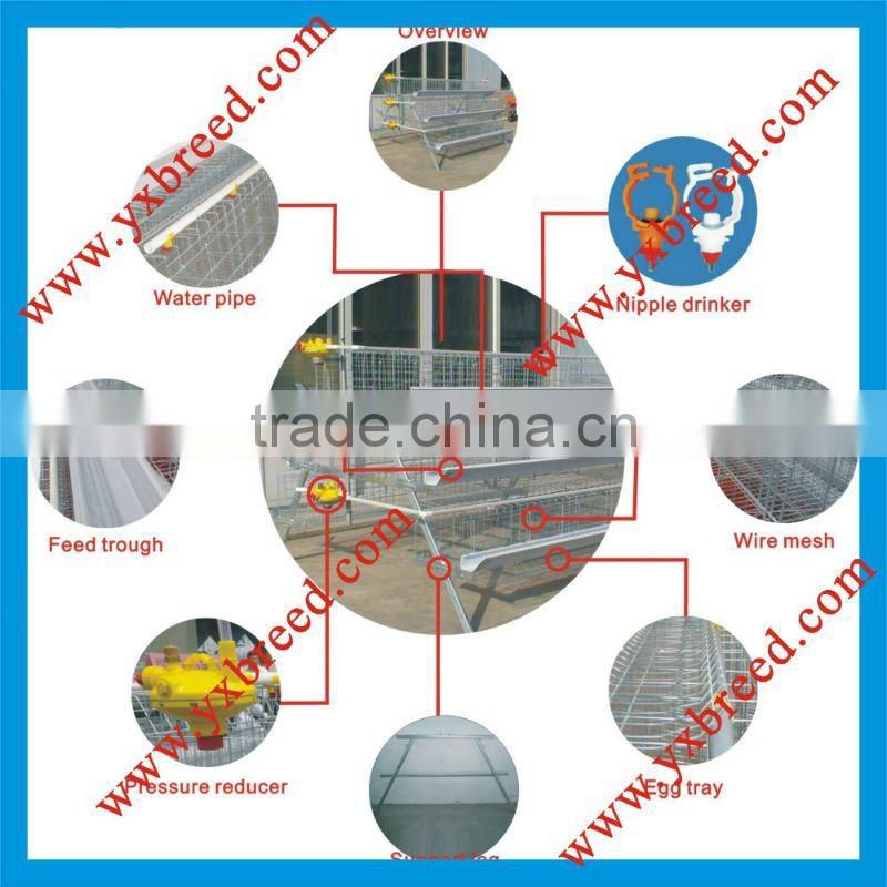 Layer Poultry Battery Cages of 90 capacity birds