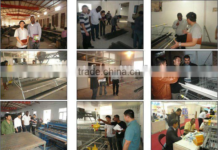 UAE drawing Chicken Coop design of 15,000 layers broilers