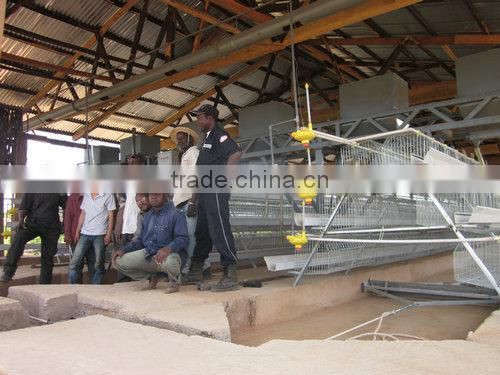 Welding wire mesh Chicken Equipment for Nigeria 15000 hens