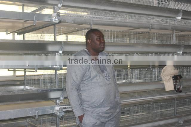 Welding wire mesh Chicken Equipment for Nigeria 15000 hens