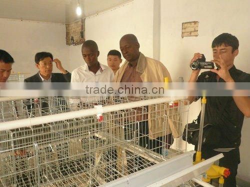 Automatic Poultry Equipment for 20000 birds farm sale