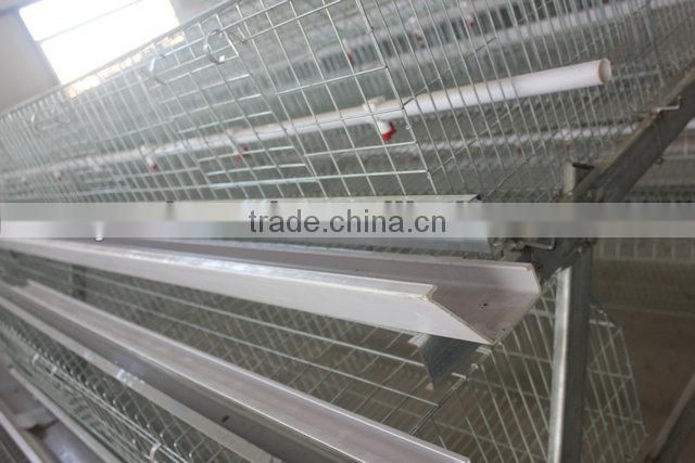 Leading quality Poultry House Cage designed for Kenya 15000 birds