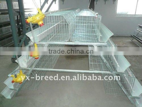 Automatic Poultry Equipment for 20000 birds farm sale