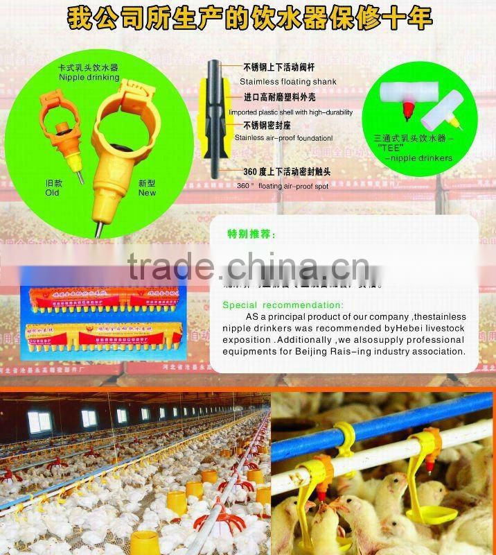 African Hen Farming Cages with automatic manure/feeder system