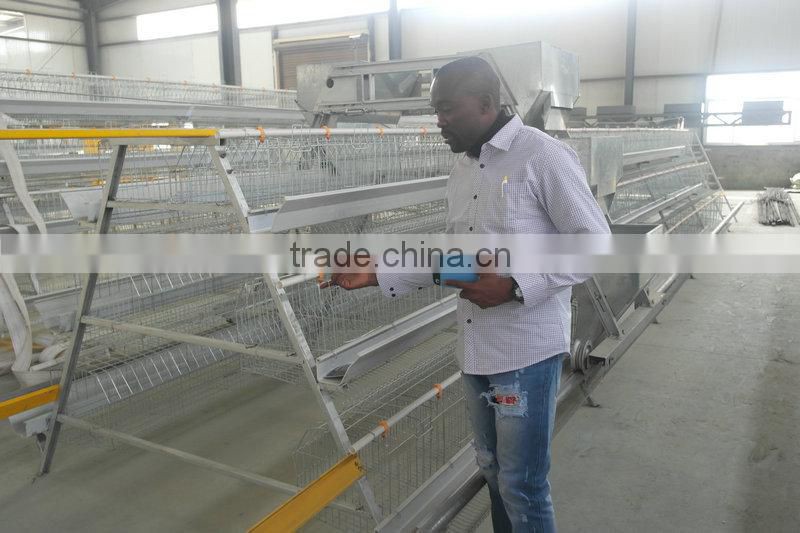 20000 Layer Farm Equipment large scale automatic project