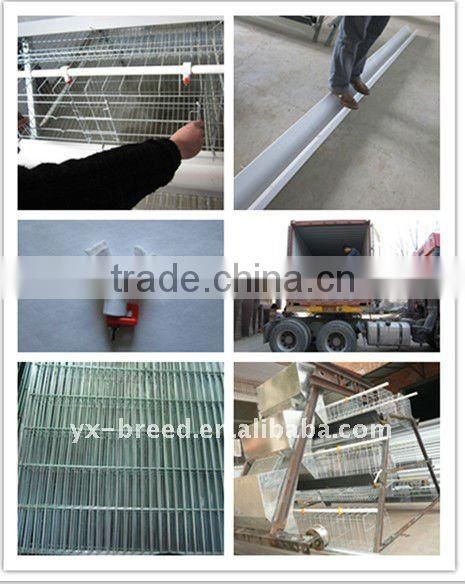 Factory price with Poultry Cage to African market