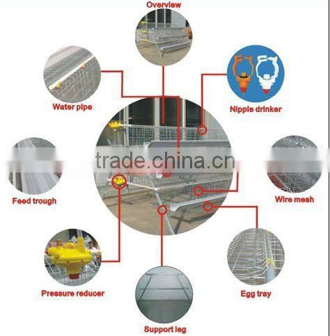 Automatic Poultry Equipment for 20000 birds farm sale