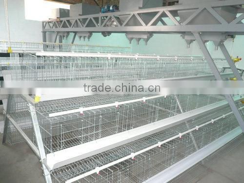 Automatic Poultry Equipment for 20000 birds farm sale