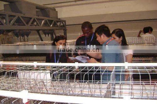 Automatic Poultry Equipment for 20000 birds farm sale