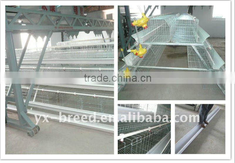 PVC pipe and trough Animal Cages of galvanizing steel