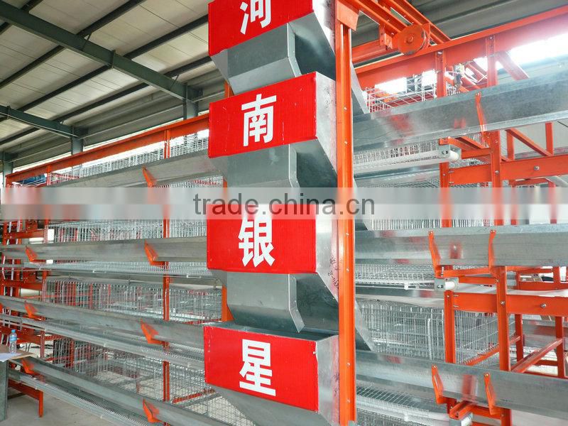 Automatic Poultry Equipment for 20000 birds farm sale