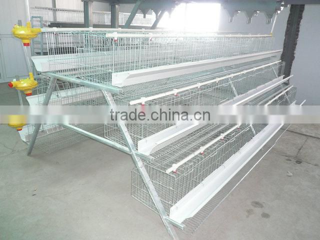 Welding wire mesh Chicken Equipment for Nigeria 15000 hens