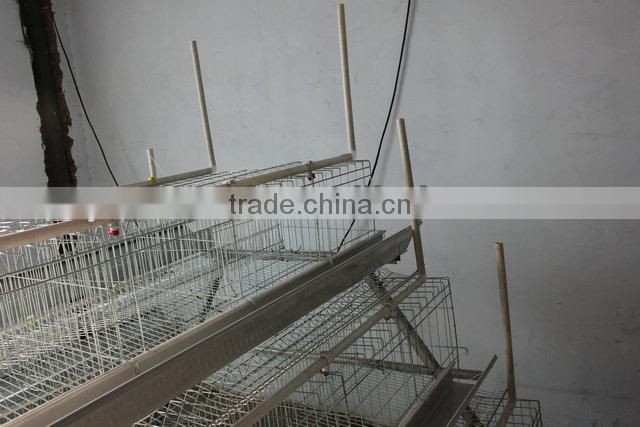Leading quality Poultry House Cage designed for Kenya 15000 birds