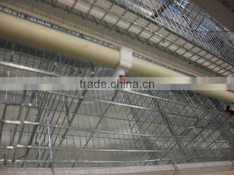Highest quality lowest price Farm Poultry Cage for Zambia sale