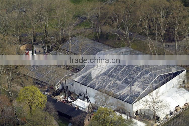 20m clear frame tent with clear PVC roof for sale