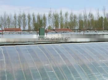 soft agricultural film/agricultural mulch film /greenhouse film