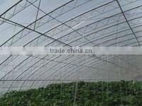 Agricultural greenhouse plastic film
