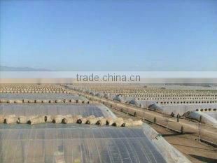 Agricultural greenhouse plastic film