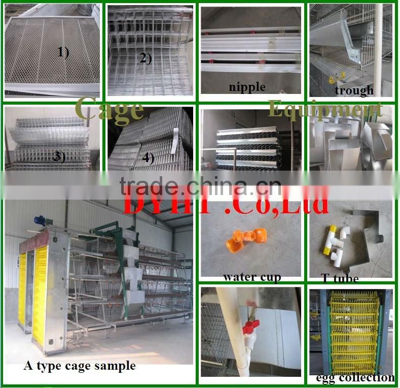 automatic chicken cage--layer poultry cage