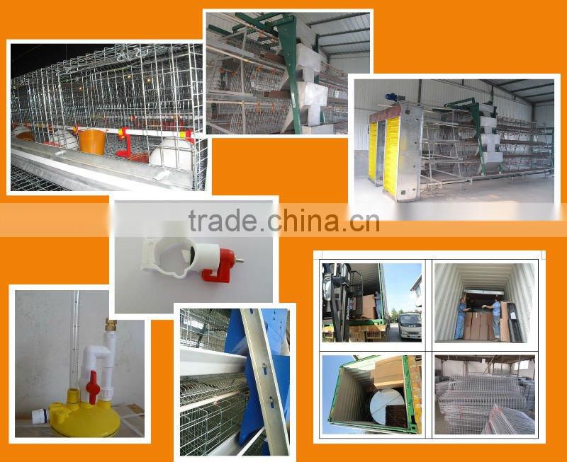 H type poultry cage-automatic poultry farming equipment
