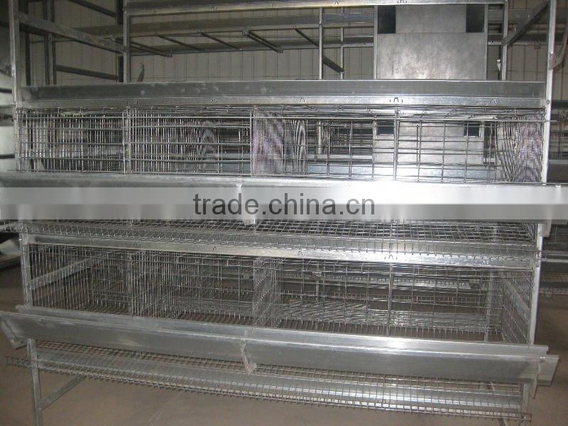 automatic chicken cage-poultry feeding system