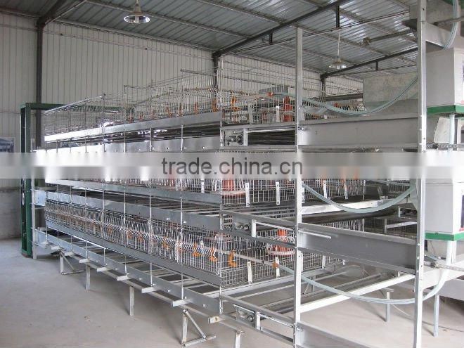 H type hot galvanized broiler cage