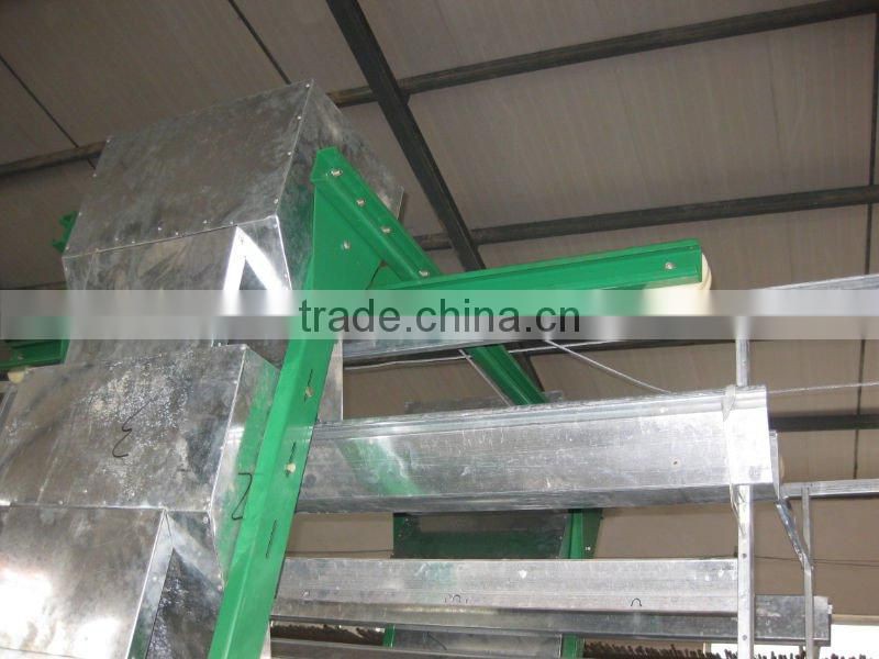 automatic chicken cage--layer poultry cage