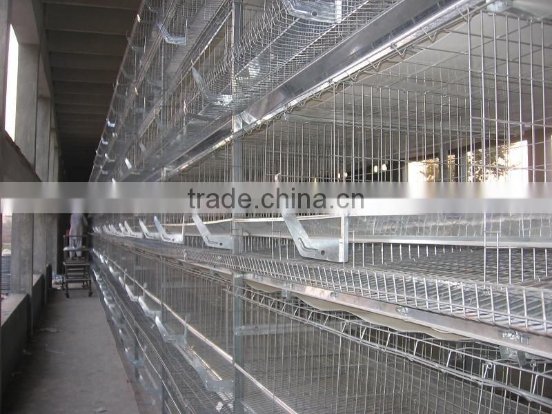 automatic poultry farming machine -poultry cage