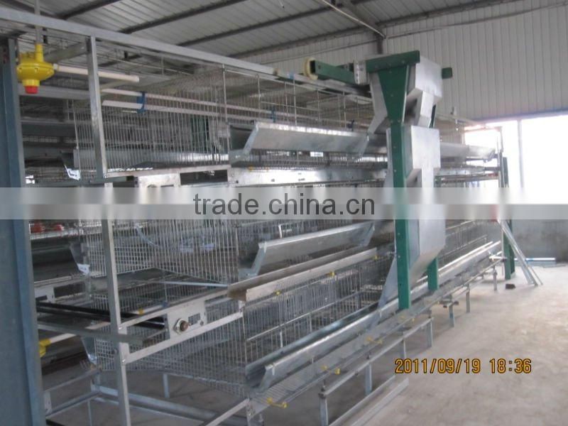 automatic chicken cage--layer poultry cage