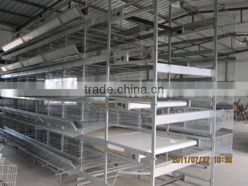 H type poultry cage-automatic poultry farming equipment