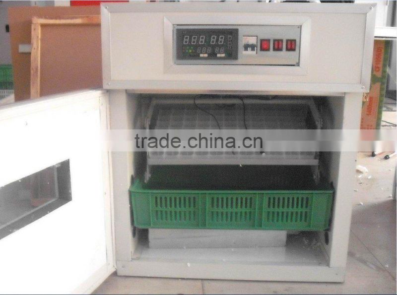 metal structure domestic animal house