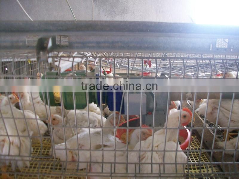 metal structure domestic animal house