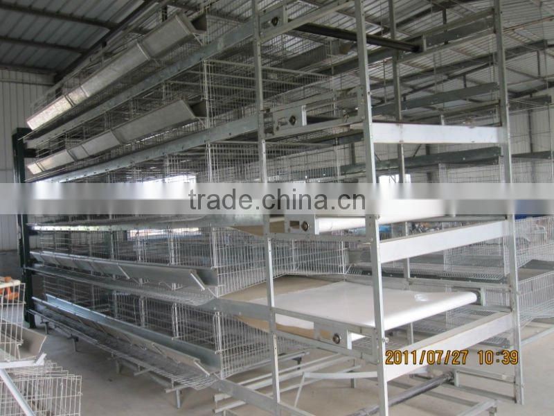 H type poultry cage-automatic poultry farming equipment