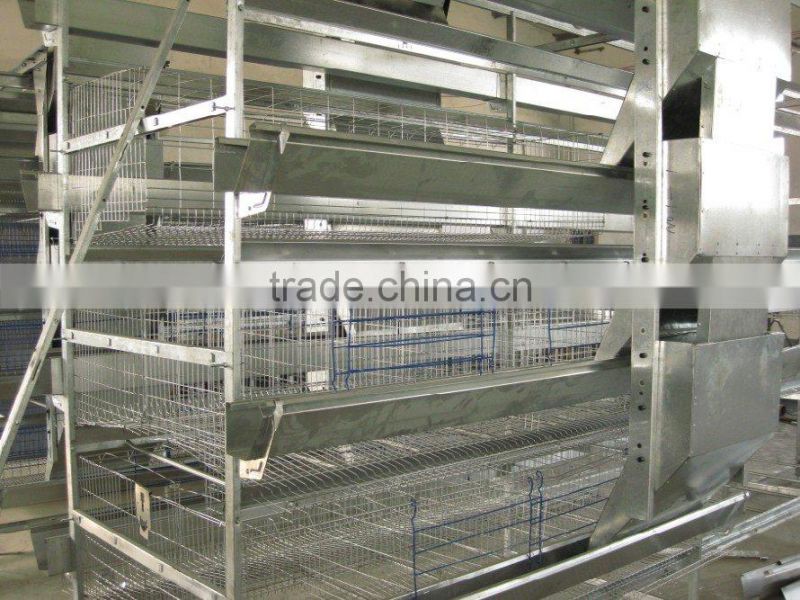 automatic chicken cage-poultry feeding system