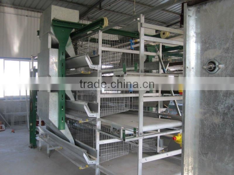 broiler cage,automatic chicken cage-manure removal system