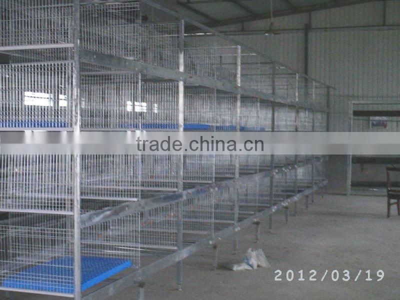 Automatic broiler cage