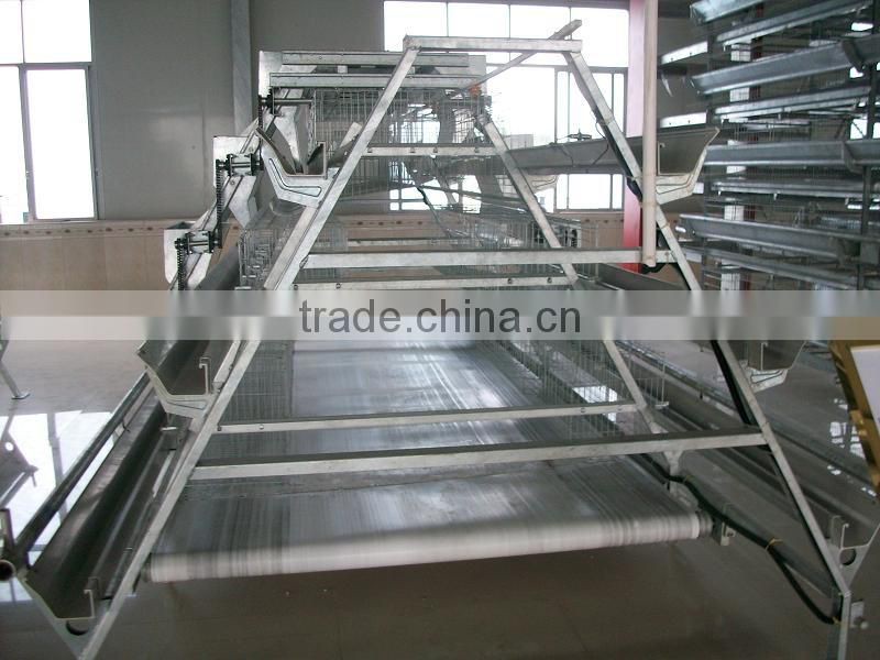 ventilation fan for layer chicken house